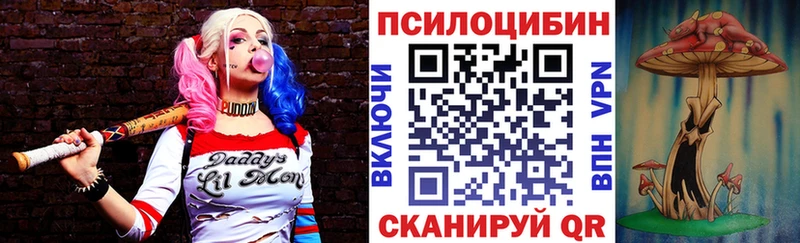 Псилоцибиновые грибы прущие грибы  купить наркоту  Гремячинск 